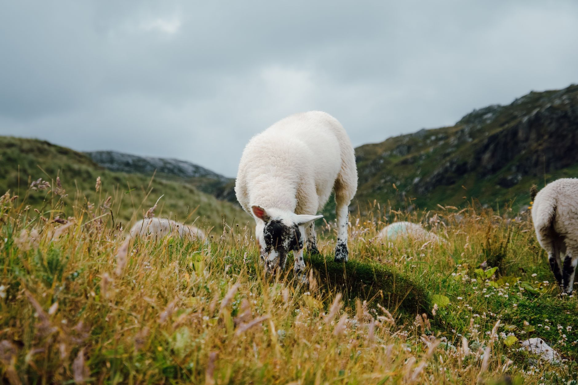 Folded merino wool layers in neutral colours — key fabrics for layering outfits for British weather